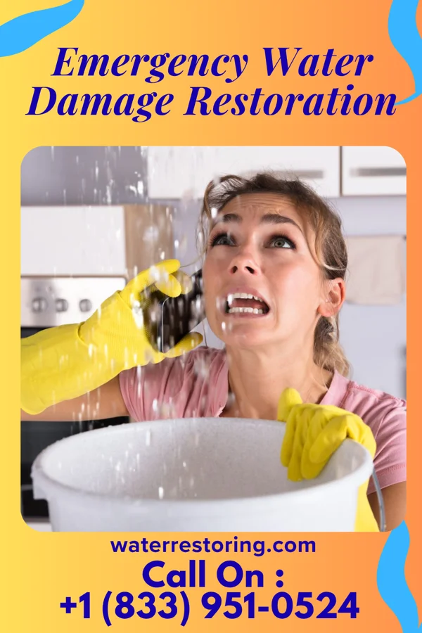 Emergency Water Damage Restoration in Long Beach, WA