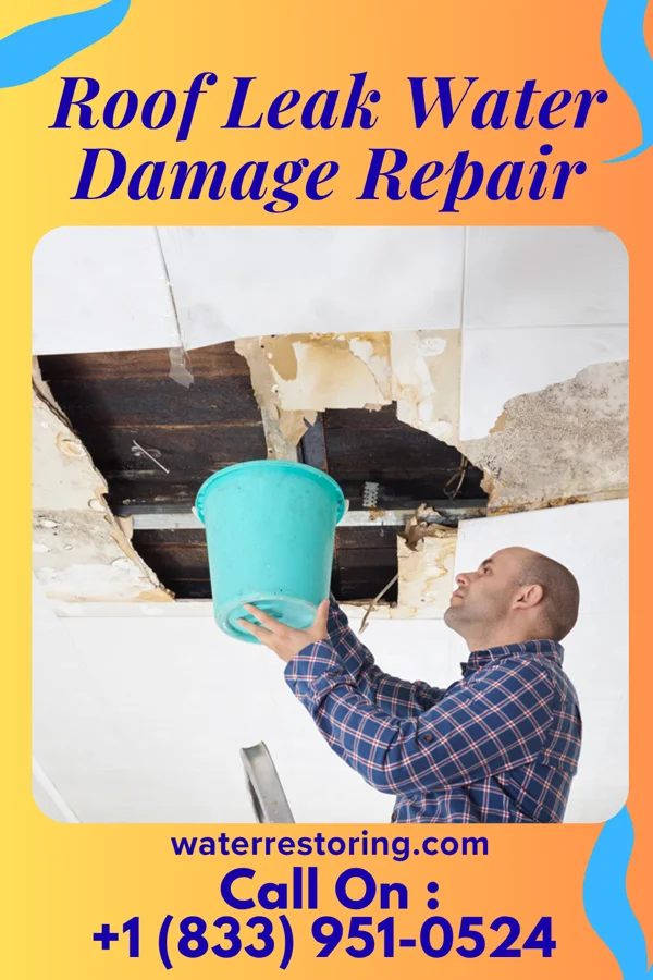 Roof Leak Water Damage Repair in Long Beach, WA